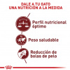 Fit 32